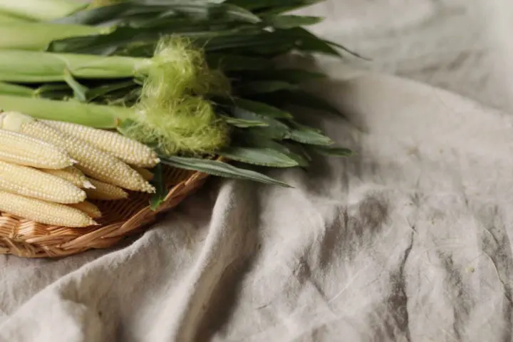 ヤングコーン へきなんファーム 愛知県碧南市 野菜を農家から産地直送でお取り寄せ